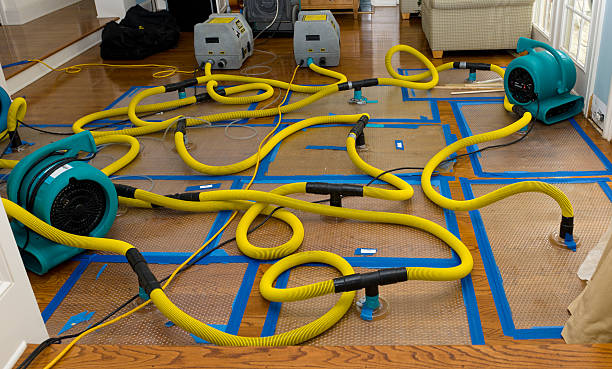 Professional Crawl Space Water Removal technician working in Waterville, NY